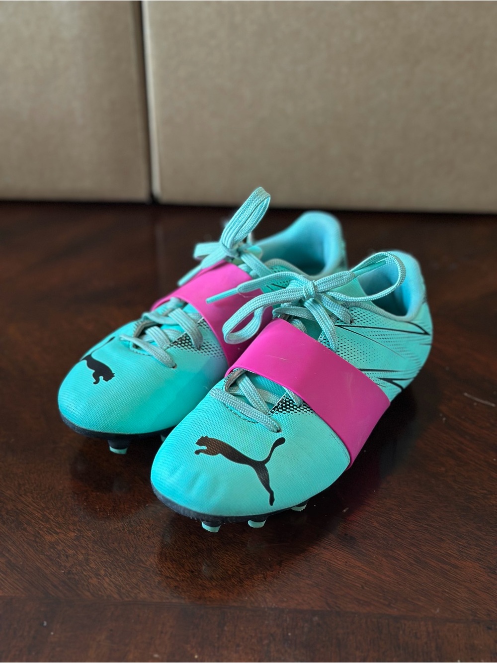 Puma Kids Turquoise and Pink Soccer Cleats